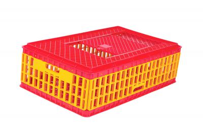4888 Chicken Crate