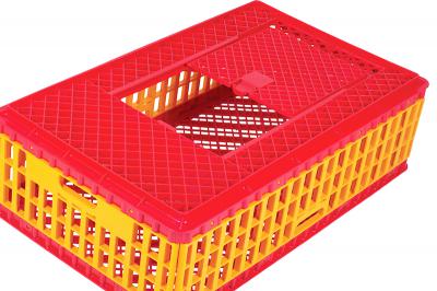 4888 Chicken Crate